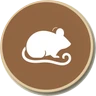 rodent rodent
