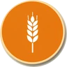 seed seed